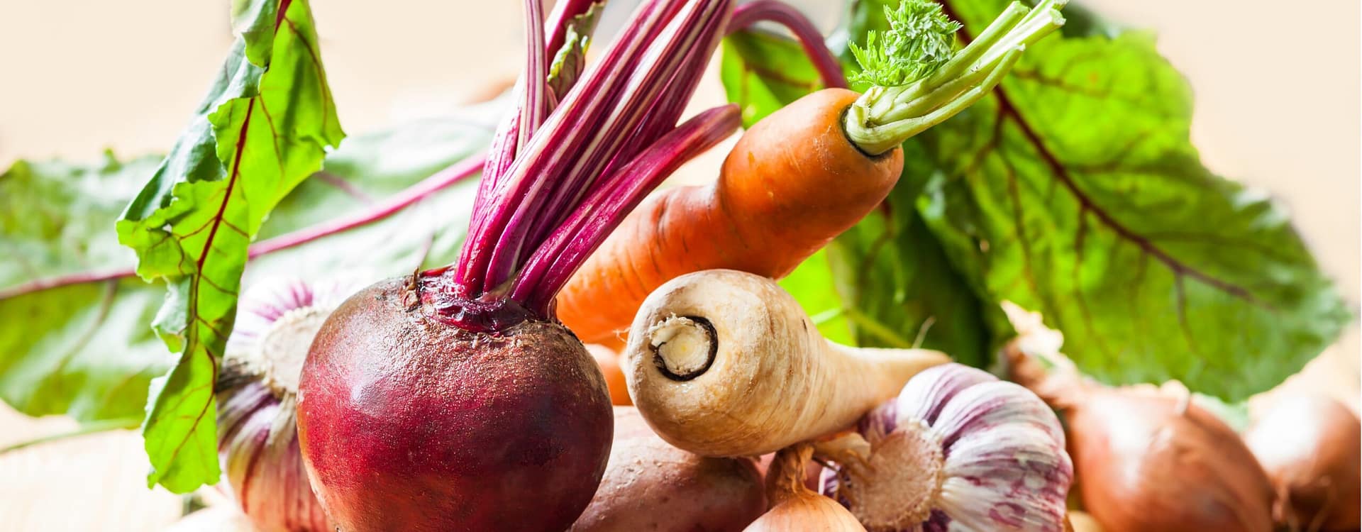 Producten om groente te fermenteren of te verwerken – Homaky