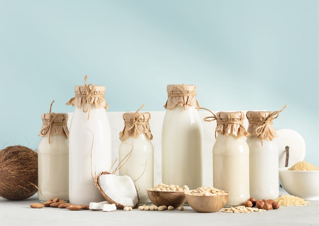 Recept plantaardige melk, zelf noten- of havermelk maken – Homaky