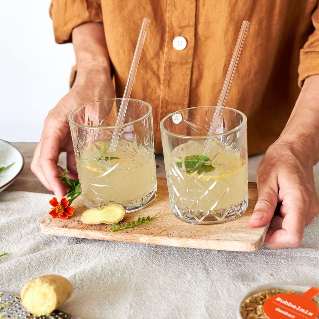 RotPot Bubbels, set om zelf gefermenteerde dranken te maken – Homaky