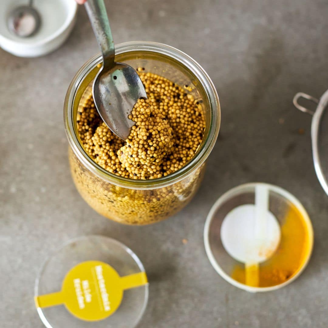RotPot Mosterd, set om zelf mosterd te fermenteren – Homaky