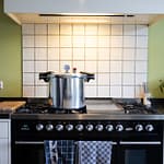 CanMate Presspan 22QT – veilige pressure canner voor conserveren-Homaky