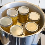CanMate Presspan 22QT – veilige pressure canner voor conserveren-Homaky