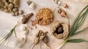 zelf basisproducten maken